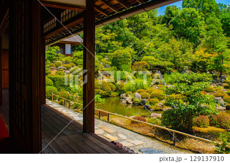 【京都風景】等持院　一人静かに眺める庭に心が和む 129137910