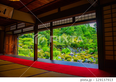 【京都風景】等持院 一人静かに眺める庭に心が和む 【京都風景】等持院 一人静かに眺める庭に心が和む 129137913