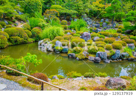 【京都風景】等持院　一人静かに眺める庭に心が和む 129137919