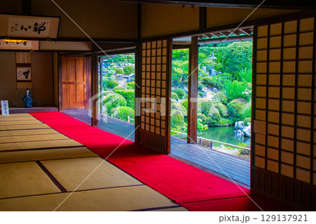 【京都風景】等持院　一人静かに眺める庭に心が和む 129137921