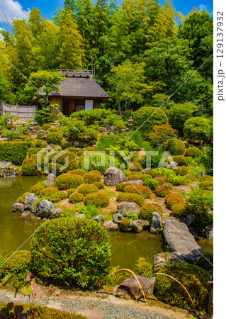 【京都風景】等持院 一人静かに眺める庭に心が和む 【京都風景】等持院 一人静かに眺める庭に心が和む 129137932