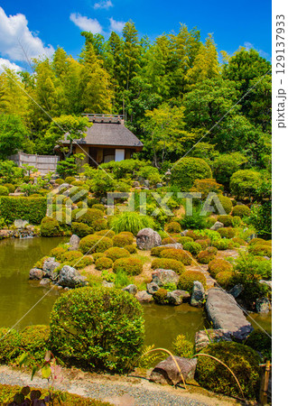 【京都風景】等持院　一人静かに眺める庭に心が和む 129137933