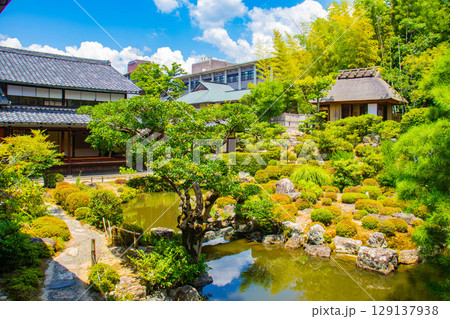 【京都風景】等持院　一人静かに眺める庭に心が和む 129137938