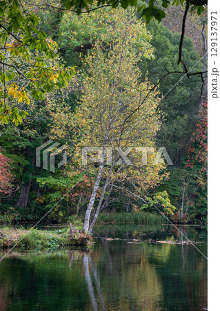 秋の黄葉を映す池のある公園 129137971