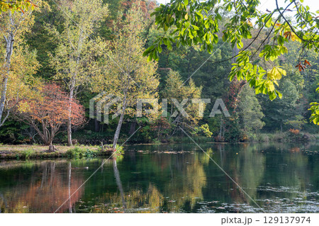 秋の黄葉を映す池のある公園 129137974