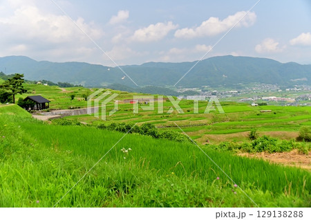 緑あふれる初夏の姨捨棚田 緑あふれる初夏の姨捨棚田 129138288