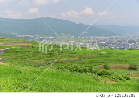 棚田展望所から眺める初夏の姨捨棚田と千曲市街地 棚田展望所から眺める初夏の姨捨棚田と千曲市街地 129138289