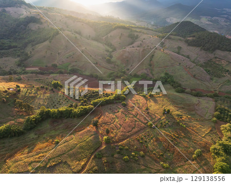 The biggest cause of forest loss is agricultural deforestation ,environmental damage in Southeast Asia , global warming and environment. The biggest cause of forest loss is agricultural deforestation ,environmental damage in Southeast Asia , global warming and environment. 129138556