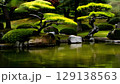 日本庭園イメージ画像 129138563