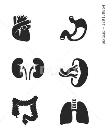 Human internal organs icons set stock illustration Human internal organs icons set stock illustration 129139964