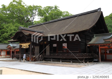 大山祇神社:拝殿(愛媛県今治市大三島町) 大山祇神社:拝殿(愛媛県今治市大三島町) 129140065