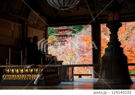 Buddha statue of Hasedera temple hall by pagoda in autumn, Nara 129140185