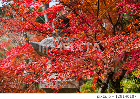 Red maple leaf by stone lantern post of Hasedera Temple, Sakurai, Nara 129140187