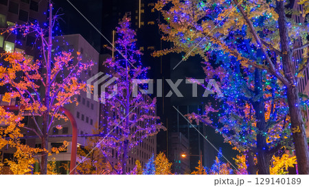 Osaka city colorful light up on trees at night in Midosuji street 129140189