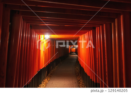 Seamless Torii gate archway light up of Fushimi Inari Taisha shrine at night, Kyoto, Japan. Famous travel destination for thousand Torii Gates on peak fall season in December. Seamless Torii gate archway light up of Fushimi Inari Taisha shrine at night, Kyoto, Japan. Famous travel destination for thousand Torii Gates on peak fall season in December. 129140205