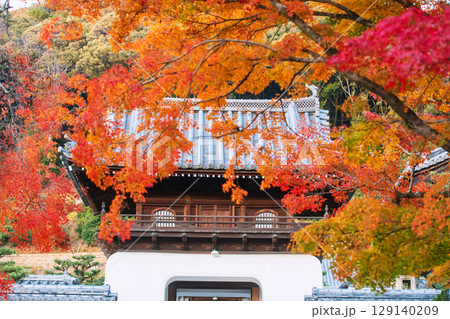 Koshoji Temple entrance with beautiful autumn leaf colors in Uji Koshoji Temple entrance with beautiful autumn leaf colors in Uji 129140209