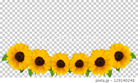黄色ひまわりの生花の装飾フレーム素材 写真画像背景 透過png透明 黄色ひまわりの生花の装飾フレーム素材 写真画像背景 透過png透明 129140248
