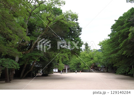 大山祇神社にて（愛媛県今治市大三島町） 129140284