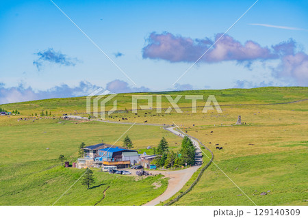 【長野県】美ヶ原高原・牛伏山から見る、山本小屋方向の景観 【長野県】美ヶ原高原・牛伏山から見る、山本小屋方向の景観 129140309