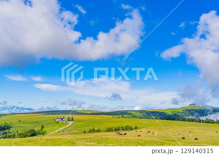 【長野県】美ヶ原高原・牛伏山から見る、山本小屋方向の景観 129140315