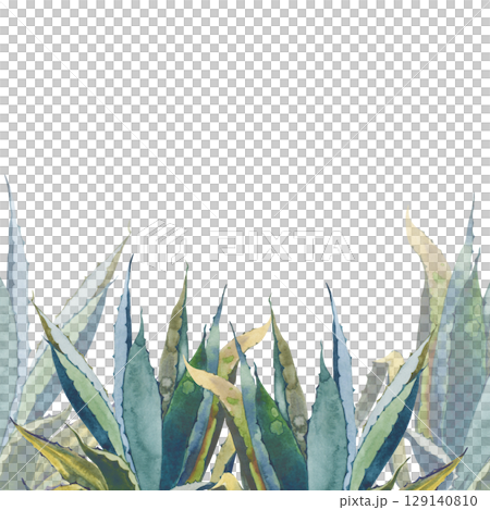 Watercolor Aloe Vera Border. Hand Painted Botanical Frame for Organic Design 129140810