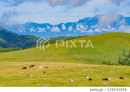 【長野県】美ヶ原高原・牛伏山から見る北アルプス 129141038