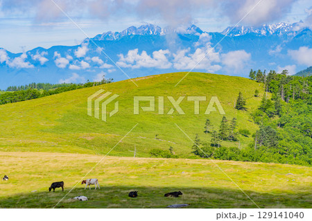 【長野県】美ヶ原高原・牛伏山から見る北アルプス 129141040