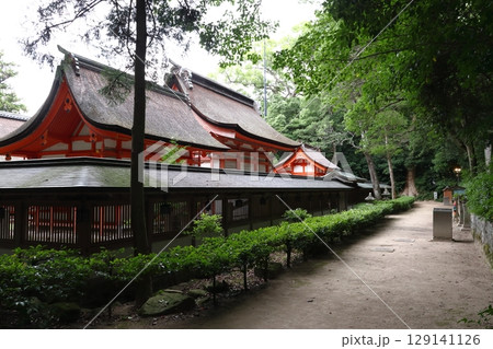 大山祇神社：本殿裏側にて（愛媛県今治市大三島町） 129141126
