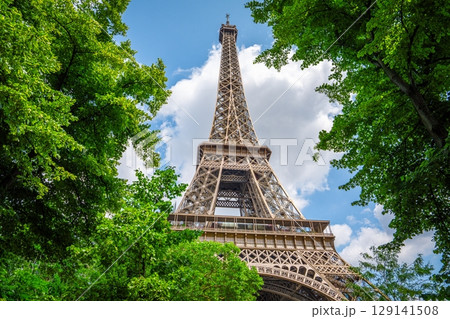 Eiffel Tower Framed by Lush Green Trees Against a Blue Sky with Clouds, Paris, France Eiffel Tower Framed by Lush Green Trees Against a Blue Sky with Clouds, Paris, France 129141508