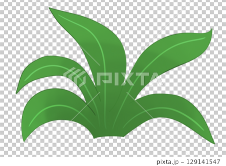 Beautiful leaf illustrations 129141547