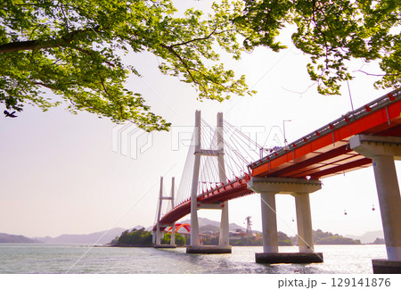 bridge to the sea 129141876