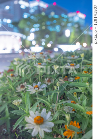 東京丸の内和田倉噴水公園の風景 129141907