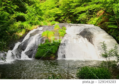 春の釜淵の滝 129143283