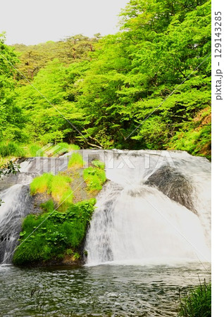 春の釜淵の滝 129143285