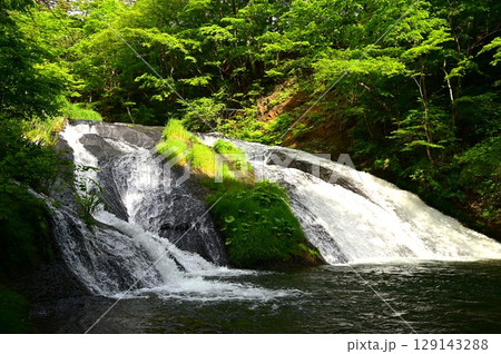 春の釜淵の滝 129143288