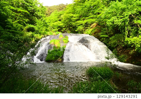 春の釜淵の滝 春の釜淵の滝 129143291