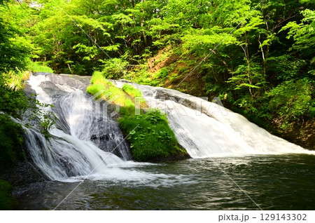 春の釜淵の滝 春の釜淵の滝 129143302