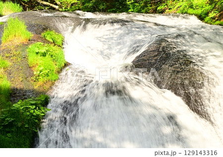 春の釜淵の滝 129143316