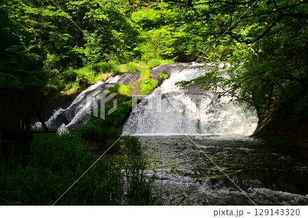春の釜淵の滝 129143320