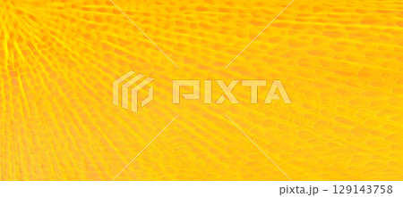 斜めに拡散するイエローオレンジ色の立体的な管孔柄入りの明るいテクスチャー 129143758