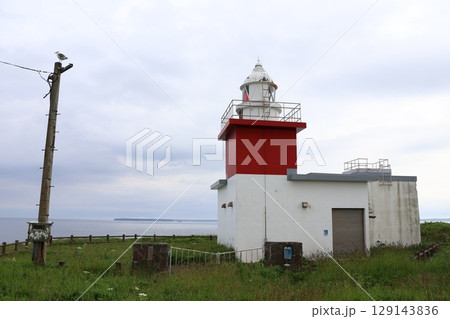 根室半島・花咲岬にそびえ立つ花咲灯台 129143836