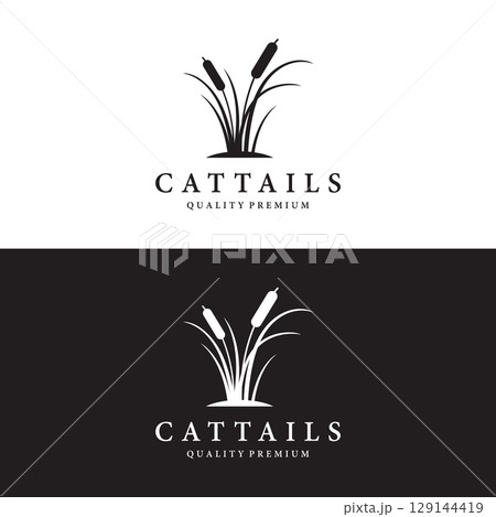 Cattails or reed river grass plant logo template design premium quality. 129144419