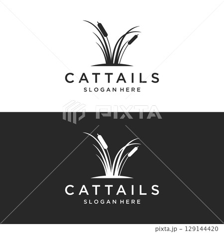 Cattails or reed river grass plant logo template design premium quality. 129144420