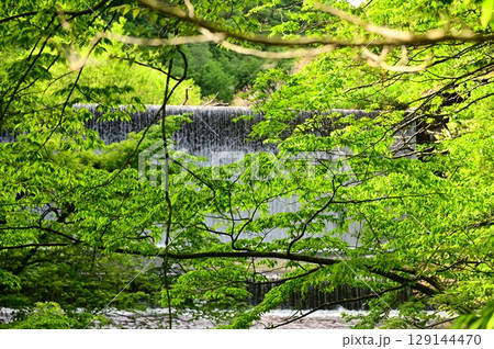 新緑の花巻温泉郷 129144470