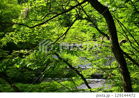 新緑の花巻温泉郷 新緑の花巻温泉郷 129144472