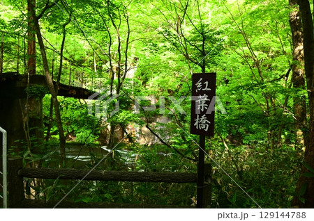 新緑の花巻温泉 紅葉橋 新緑の花巻温泉 紅葉橋 129144788
