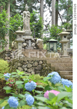 善峯寺の慈母観音菩薩像とアジサイ 129144826