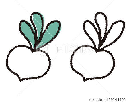 手描きのカブ 129145303