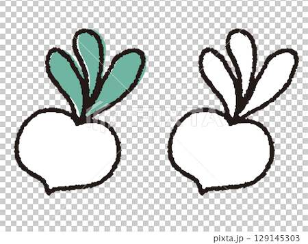 手描きのカブ 129145303