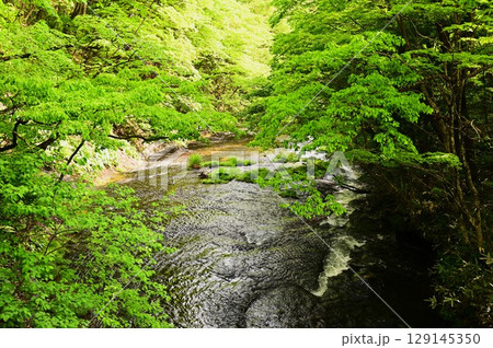 新緑の花巻温泉郷 新緑の花巻温泉郷 129145350